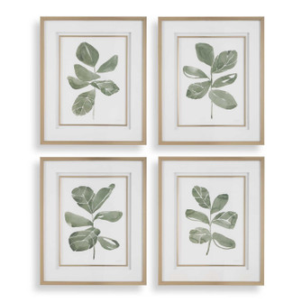Fiddle Head Prints Set/4 in Golden (52|32454)
