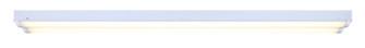 Led Utility LED Utility Light in White (387|LT48A40)