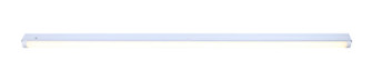 Led Utility LED Utility Light in White (387|LT48A30)
