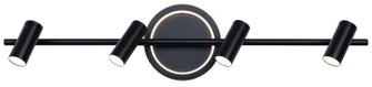 Denver Four Light Track/Wall Light in Black (387|LT314A04BK)