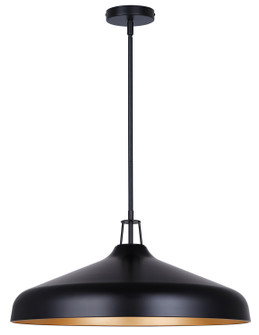 Holland Four Light Pendant in Matte Black (387|IPL1203A04BKG22)