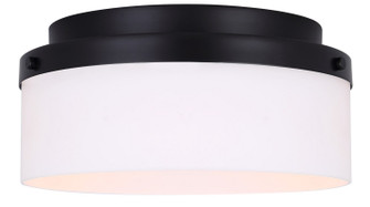 Malloy Two Light Flush Mount in Black (387|IFM2029B12BK)