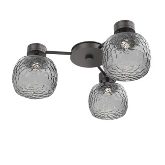 Vessel LED Wall / Ceiling Mount in Graphite (404|SMB0091-H3-GP-S-L3)