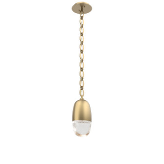 Pebble LED Pendant in Gilded Brass (404|LNB0079-01-GB-PC-CH2-L3)