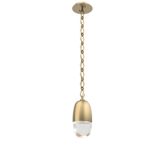 Pebble LED Pendant in Gilded Brass (404|LNB0079-01-GB-PC-CH1-L1)