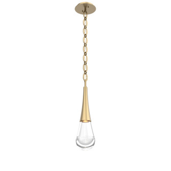 Raindrop LED Pendant in Gilded Brass (404|LNB0078-01-GB-C-CH2-L3)