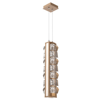 Tessera LED Pendant in Novel Brass (404|LAB0100-24-NB-TF-CA1-L3-W01)