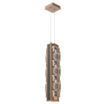 Tessera LED Pendant in Novel Brass (404|LAB0100-24-NB-TE-CA1-L1-W02)