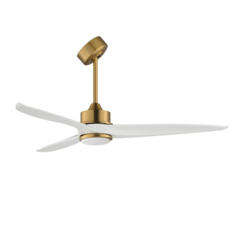 Accessories Sloped Ceiling Adapter in Natural Aged Brass (16|FSCKT45NAB)
