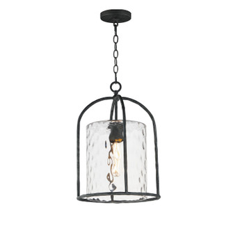 Del Mar One Light Pendant in Blacksmith (16|31843WGBS)