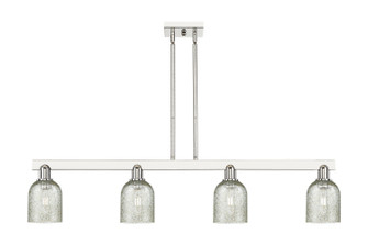 Arcadia Four Light Island Pendant in Polished Nickel (405|716-4I-PN-G259)