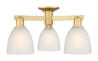 Arcadia Three Light Semi-Flush Mount in Satin Gold (405|716-3F-SG-G381)