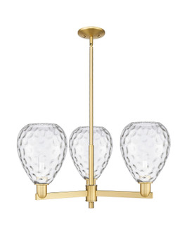 Arcadia Three Light Pendant in Satin Gold (405|716-3CR-SG-G372)