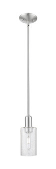 Arcadia One Light Mini Pendant in Brushed Satin Nickel (405|716-1S-SN-G804)