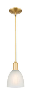 Arcadia One Light Mini Pendant in Satin Gold (405|716-1S-SG-G381)