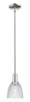 Arcadia One Light Mini Pendant in Polished Nickel (405|716-1S-PN-G382)