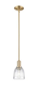 Arcadia One Light Mini Pendant in Champagne Bronze (405|716-1S-CB-G442)