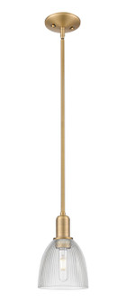 Arcadia One Light Mini Pendant in Brushed Brass (405|716-1S-BB-G382)