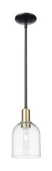 Arcadia One Light Mini Pendant in Black Antique Brass (405|716-1S-BAB-G558-6CL)