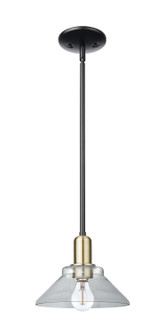 Arcadia One Light Mini Pendant in Black Antique Brass (405|716-1S-BAB-G132)