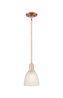 Arcadia One Light Mini Pendant in Antique Copper (405|716-1S-AC-G381)