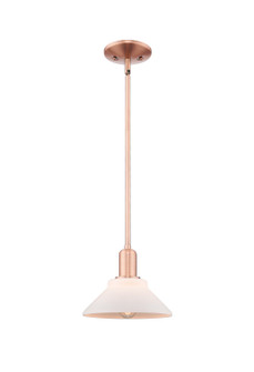Arcadia One Light Mini Pendant in Antique Copper (405|716-1S-AC-G131)