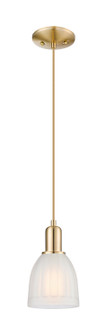Arcadia One Light Mini Pendant in Champagne Bronze (405|716-1P-CB-G441)