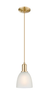 Arcadia One Light Mini Pendant in Champagne Bronze (405|716-1P-CB-G381)