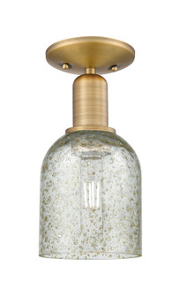 Arcadia One Light Semi-Flush Mount in Brushed Brass (405|716-1C-BB-G259)
