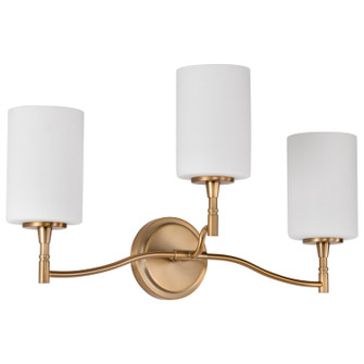 Liam Three Light Vanity in Burnished Brass (72|60-8203)