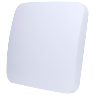 Replacement Lens in White (72|25-279)