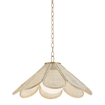 Petal One Light Pendant in Patina Brass (67|F3324-PBR)