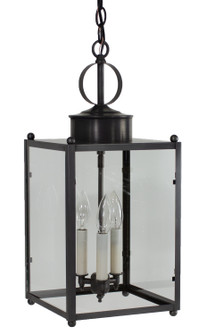 Marlene Three Light Hanging Lantern in Dark Brass (196|NL-8052-DB-LT3-CLR)