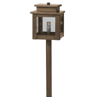 Hawthorne One Light Path in Dark Antique Brass (196|8909-DAB-G4-CLR)