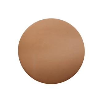 Ambiance Collection LED Wall Sconce (102|CER-5105-ADOB)