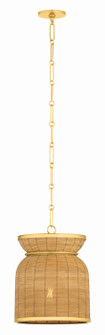 Parkchester One Light Pendant in Aged Brass (70|9913-AGB)
