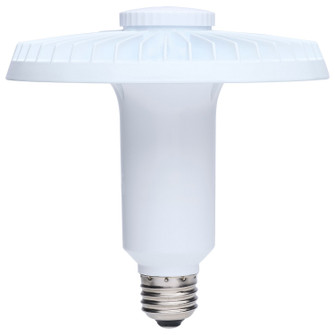 Light Bulb in Clear (230|S13148)