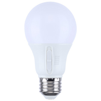 Light Bulb in Frost (230|S12145)
