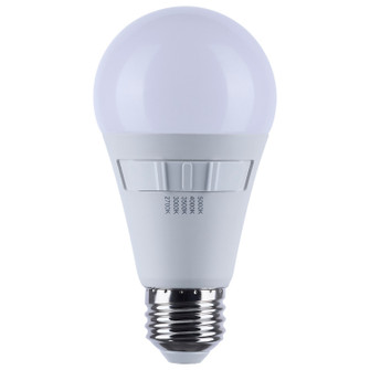 Light Bulb in Frost (230|S11773R1)