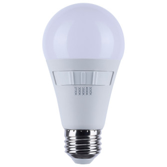 Light Bulb in Frost (230|S11772R1)