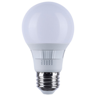 Light Bulb in Frost (230|S11771R1)