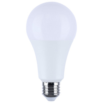 Light Bulb in White (230|S11101)