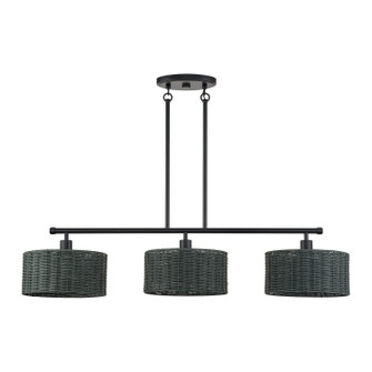 Weavington Three Light Linear Chandelier in Black (107|60554-04)