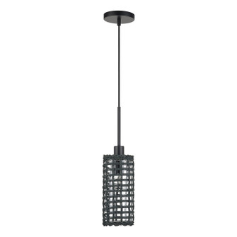 Twinewell One Light Mini Pendant in Black (107|60451-04)