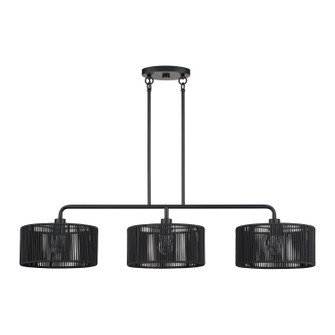 Acordia Three Light Linear Chandelier in Black (107|60233-04)