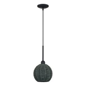 Deluna One Light Mini Pendant in Black (107|60152-04)