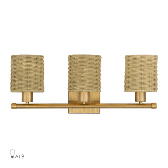 Weavington Three Light Vanity in Antique Gold Leaf (107|13703-48)