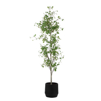 Boreal Tree in Aged Gray (52|60263)