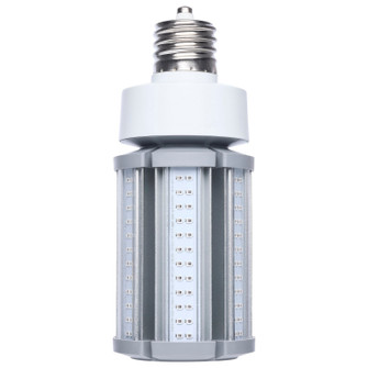 Light Bulb in Dark Gray (230|S13138)