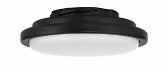 Phoebe light kit LED Fan Light Kit in Flat Black (46|PHB52LK-FB-LED)